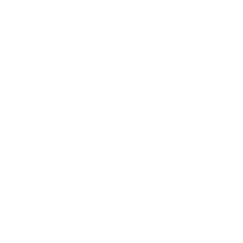 Schulen & Universitäten