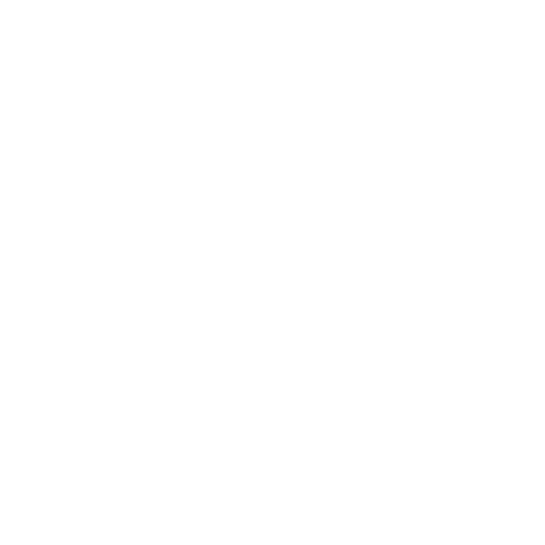 Nayax Finanz Report System